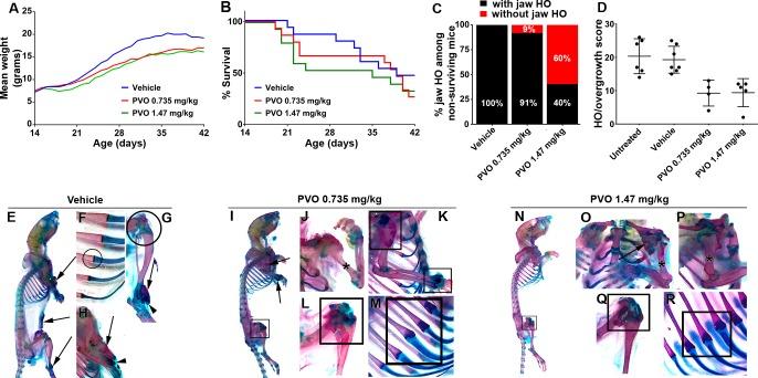 https://cdn.ncbi.nlm.nih.gov/pmc/blobs/481c/6143342/7405bd942e67/elife-40814-fig2.jpg