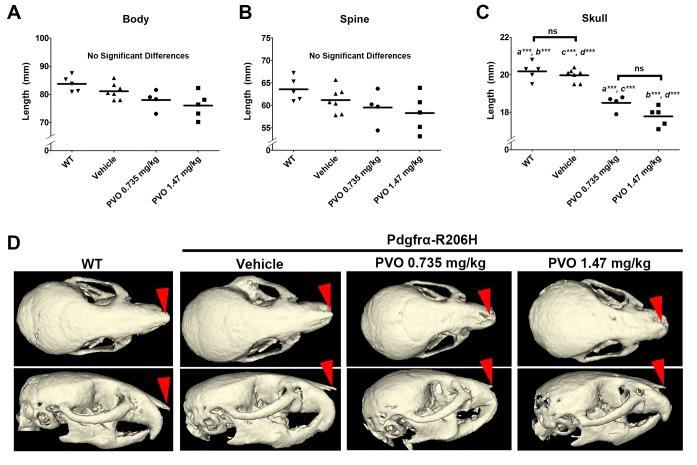 https://cdn.ncbi.nlm.nih.gov/pmc/blobs/481c/6143342/88dce55d2553/elife-40814-fig4-figsupp2.jpg