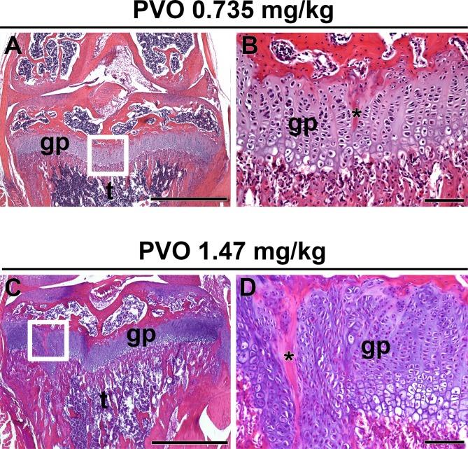 https://cdn.ncbi.nlm.nih.gov/pmc/blobs/481c/6143342/b043fbeea6ab/elife-40814-fig4-figsupp1.jpg