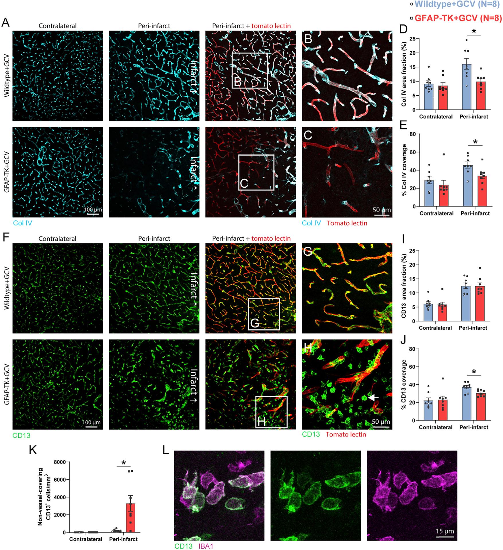 https://cdn.ncbi.nlm.nih.gov/pmc/blobs/481c/8142687/2439e66851e9/nihms-1698680-f0006.jpg