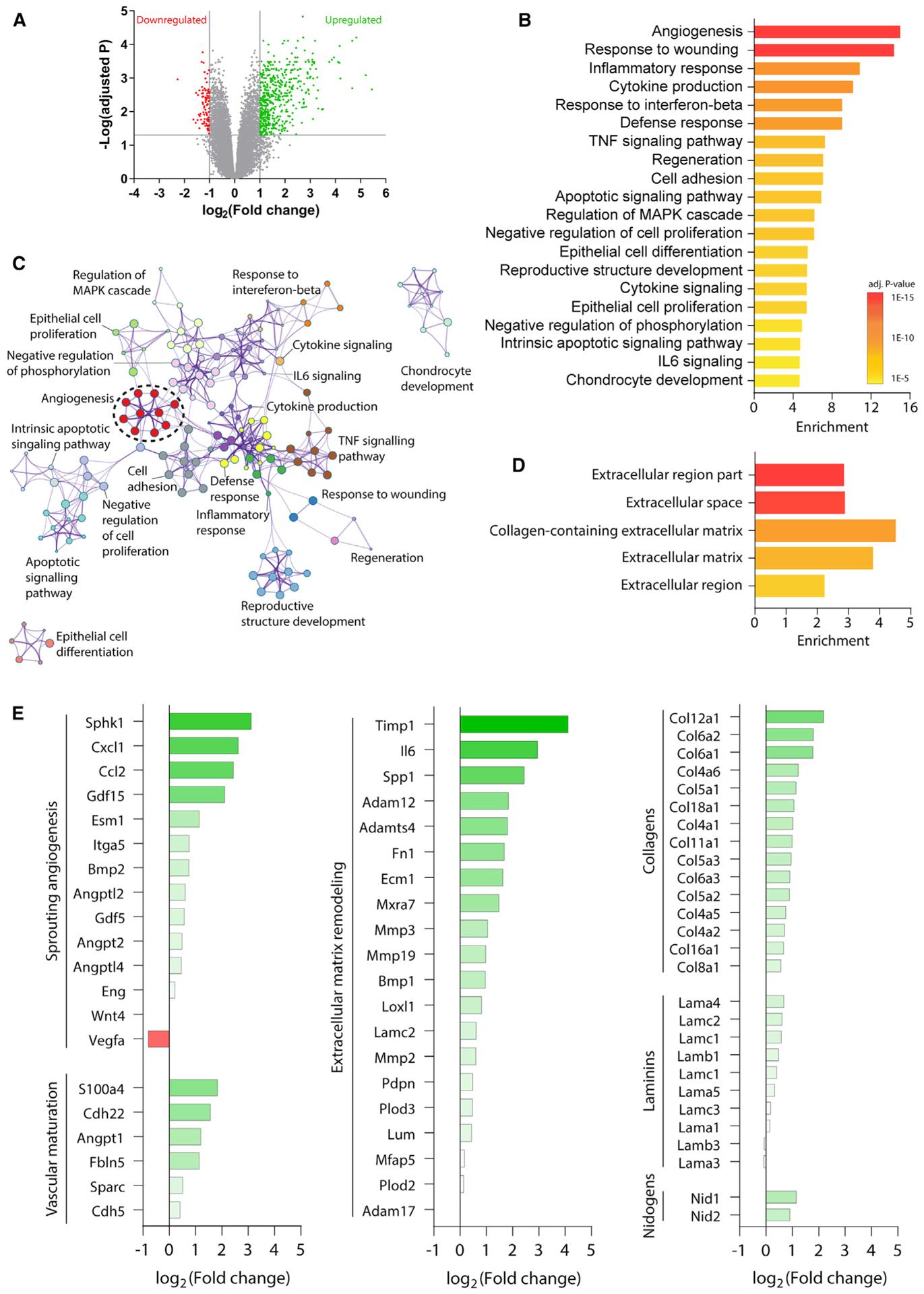 https://cdn.ncbi.nlm.nih.gov/pmc/blobs/481c/8142687/8435942d9c67/nihms-1698680-f0002.jpg