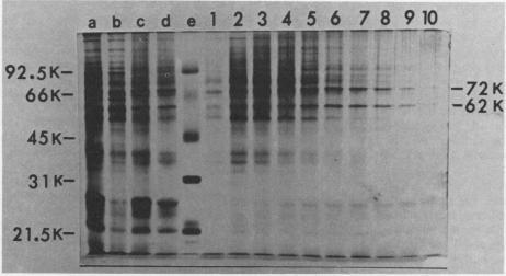 https://cdn.ncbi.nlm.nih.gov/pmc/blobs/481f/1064729/3b452e4b5dea/plntphys00589-0129-a.jpg