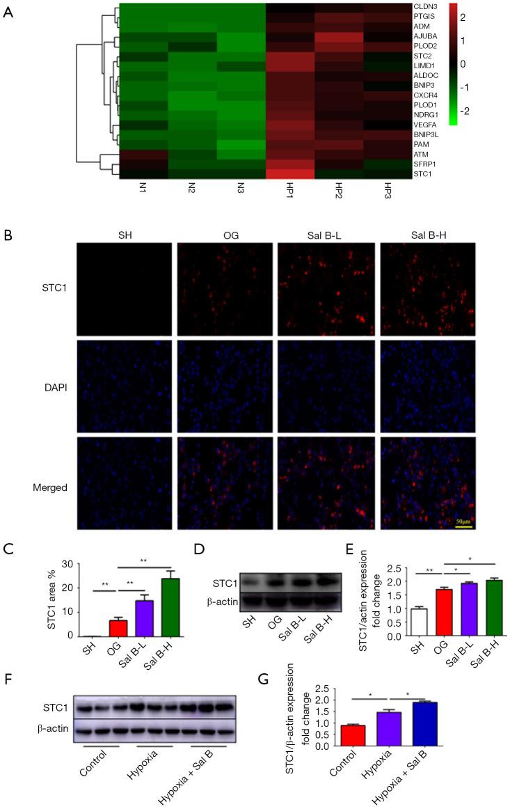 https://cdn.ncbi.nlm.nih.gov/pmc/blobs/481f/9358494/061e822a0fb6/atm-10-13-739-f5.jpg