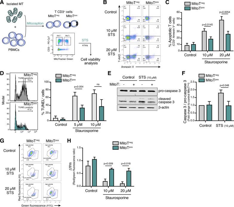 https://cdn.ncbi.nlm.nih.gov/pmc/blobs/4821/11429672/10291a8159fc/12967_2024_5627_Fig3_HTML.jpg