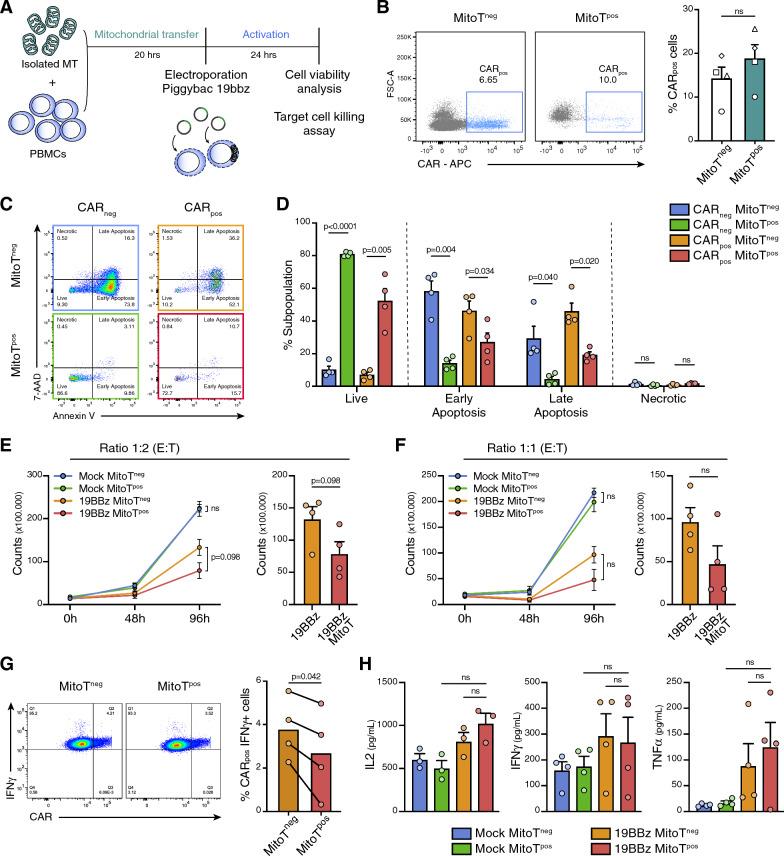 https://cdn.ncbi.nlm.nih.gov/pmc/blobs/4821/11429672/fb273f2922b3/12967_2024_5627_Fig5_HTML.jpg