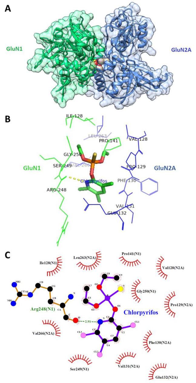 https://cdn.ncbi.nlm.nih.gov/pmc/blobs/4821/11755529/79d559beba40/jox-15-00012-g006.jpg