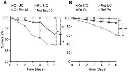 https://cdn.ncbi.nlm.nih.gov/pmc/blobs/4821/2787014/f1e9e734af1e/ppat.1000694.g003.jpg