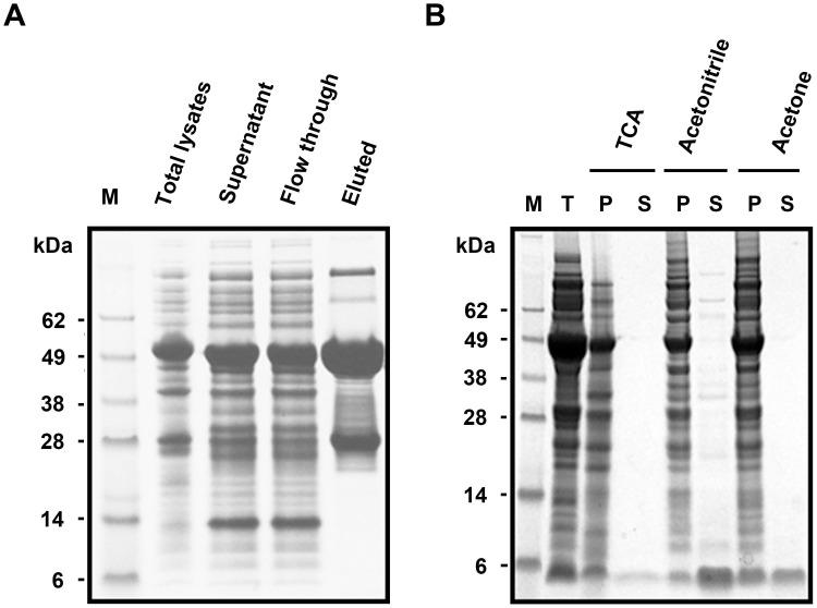 https://cdn.ncbi.nlm.nih.gov/pmc/blobs/4822/4315428/31a981915456/pone.0117099.g003.jpg