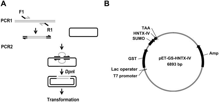 https://cdn.ncbi.nlm.nih.gov/pmc/blobs/4822/4315428/70bc1c7bd5a4/pone.0117099.g001.jpg