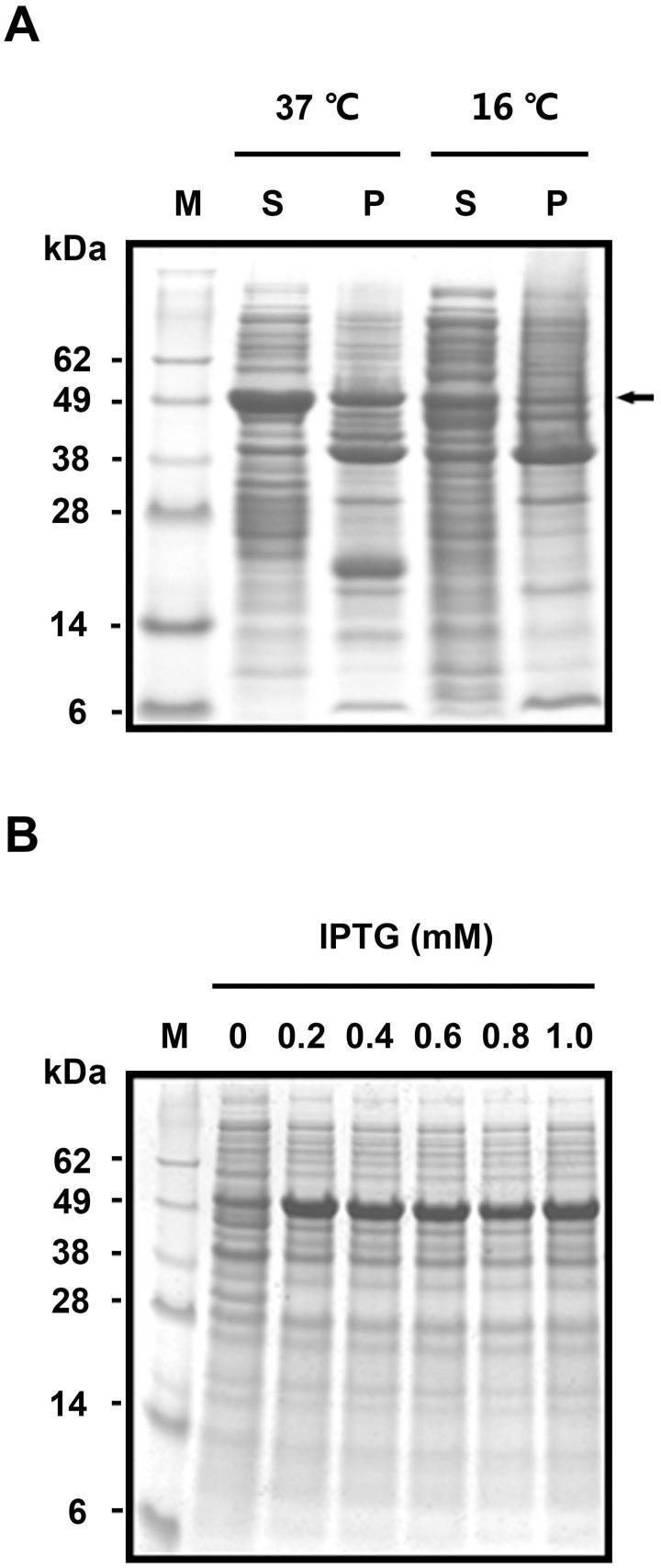 https://cdn.ncbi.nlm.nih.gov/pmc/blobs/4822/4315428/ac8314126039/pone.0117099.g002.jpg