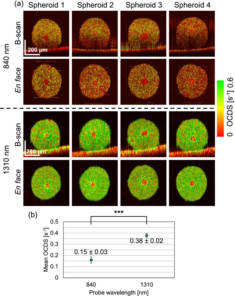 https://cdn.ncbi.nlm.nih.gov/pmc/blobs/4823/12339306/d7c282ff5378/boe-16-8-3084-g003.jpg
