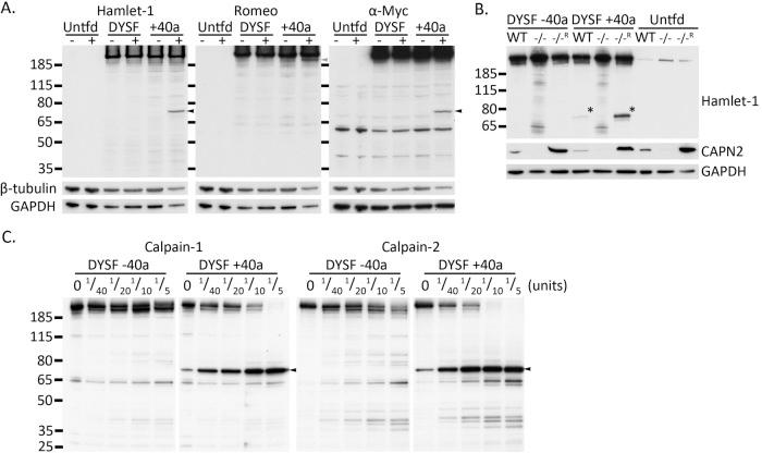 https://cdn.ncbi.nlm.nih.gov/pmc/blobs/4823/4230592/d083afa20fb0/3037fig2.jpg