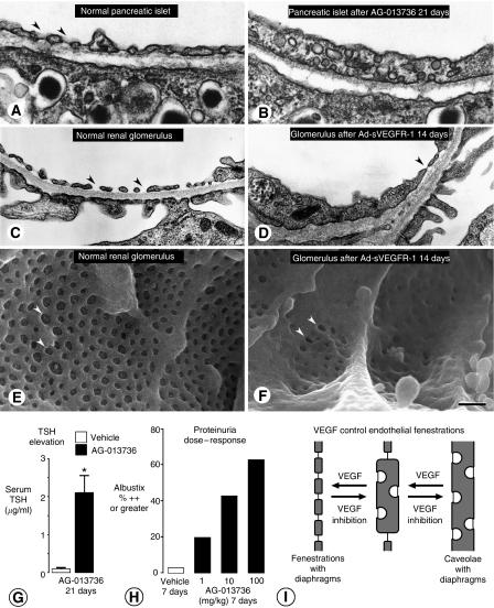 https://cdn.ncbi.nlm.nih.gov/pmc/blobs/4824/2359962/c927d4b02a98/6603813f3.jpg