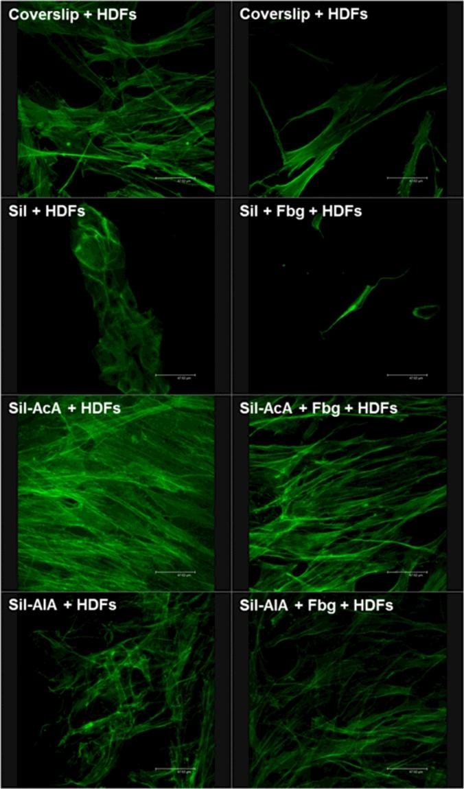 https://cdn.ncbi.nlm.nih.gov/pmc/blobs/4827/5889478/1b524818197e/gr8.jpg