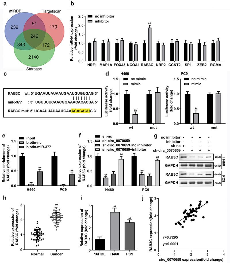 https://cdn.ncbi.nlm.nih.gov/pmc/blobs/482e/9995125/df58d294ce2e/KBIE_A_2091572_F0006_OC.jpg