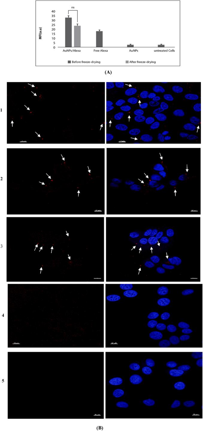 https://cdn.ncbi.nlm.nih.gov/pmc/blobs/4830/11107208/d7778369d7cd/gr5a.jpg