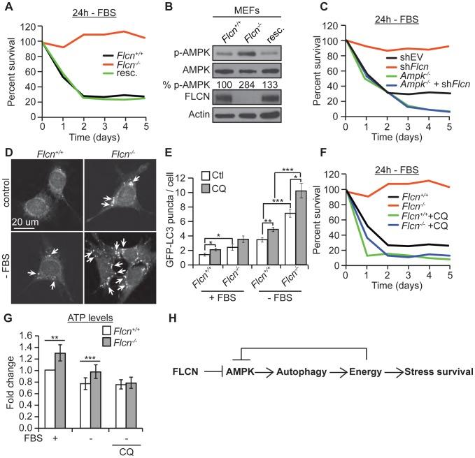 https://cdn.ncbi.nlm.nih.gov/pmc/blobs/4830/3998892/08bd5a335745/pgen.1004273.g005.jpg