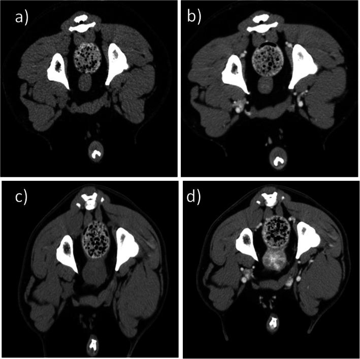https://cdn.ncbi.nlm.nih.gov/pmc/blobs/4830/7247128/ca76c7059e09/12917_2020_2374_Fig1_HTML.jpg