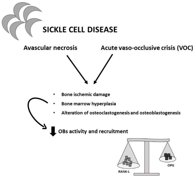 https://cdn.ncbi.nlm.nih.gov/pmc/blobs/4831/10932404/230877088bda/ijms-25-02902-g005.jpg