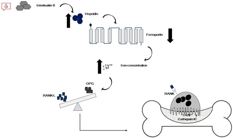 https://cdn.ncbi.nlm.nih.gov/pmc/blobs/4831/10932404/5b2fb475a398/ijms-25-02902-g003.jpg