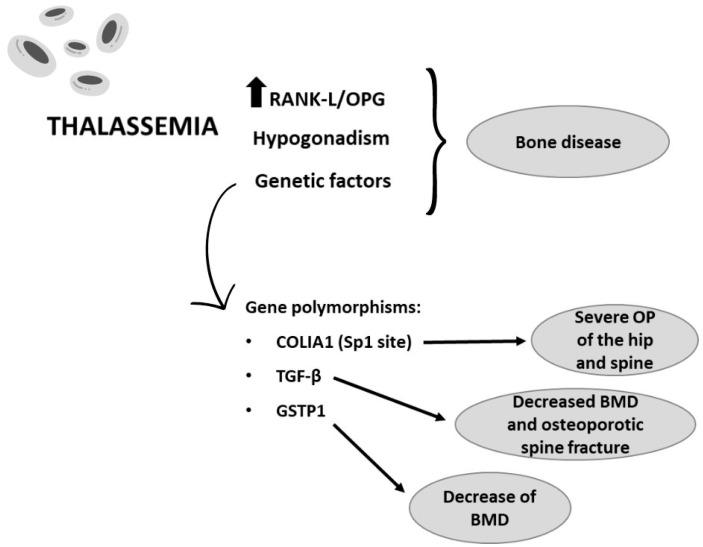 https://cdn.ncbi.nlm.nih.gov/pmc/blobs/4831/10932404/6cdc6ccb5aba/ijms-25-02902-g004.jpg