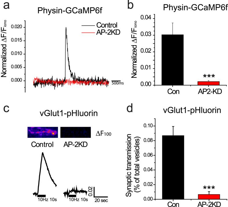 https://cdn.ncbi.nlm.nih.gov/pmc/blobs/4832/5282494/9ada99447422/srep41620-f4.jpg