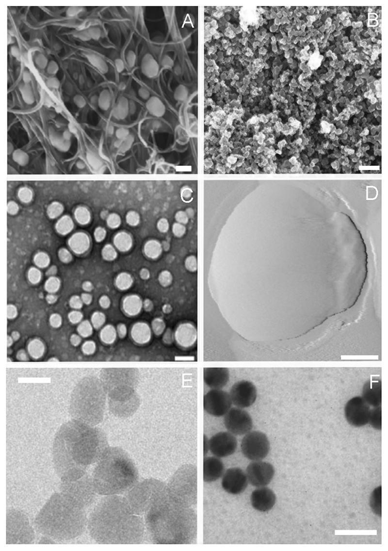 https://cdn.ncbi.nlm.nih.gov/pmc/blobs/4833/7610588/0b81f02fa555/EMS121177-f001.jpg