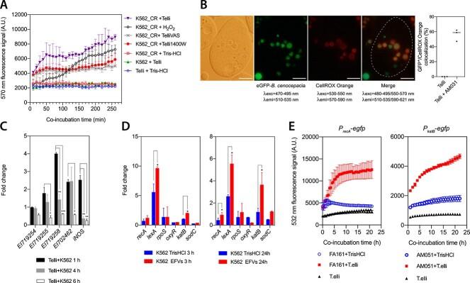 https://cdn.ncbi.nlm.nih.gov/pmc/blobs/4834/10944698/3bef006af41d/wrae014f3.jpg