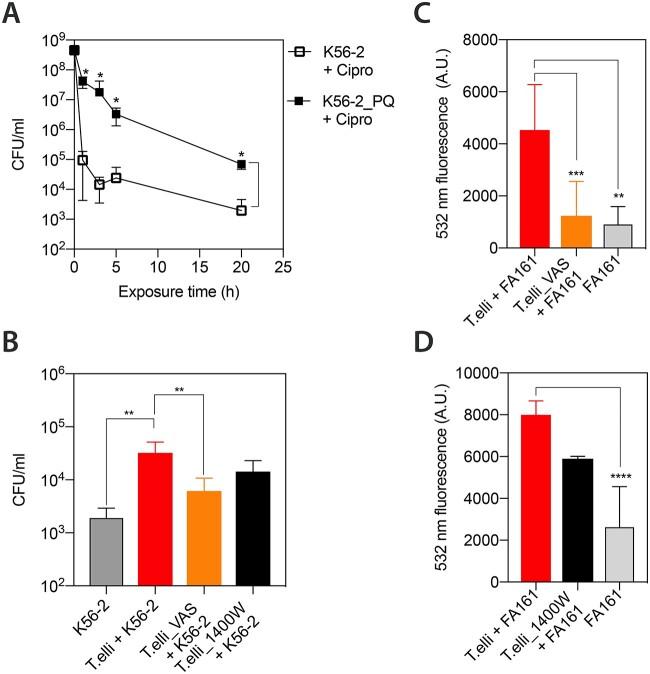 https://cdn.ncbi.nlm.nih.gov/pmc/blobs/4834/10944698/93c797cf60e6/wrae014f4.jpg