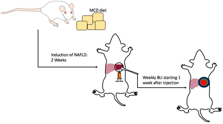 https://cdn.ncbi.nlm.nih.gov/pmc/blobs/4835/6526445/0843b89e7789/mps-01-00021-g001.jpg