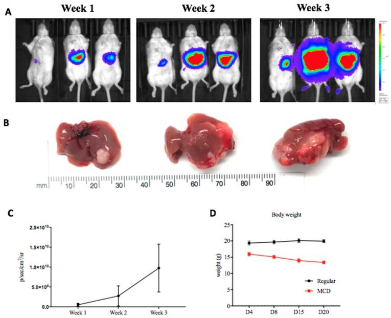 https://cdn.ncbi.nlm.nih.gov/pmc/blobs/4835/6526445/c40623028e5a/mps-01-00021-g004.jpg
