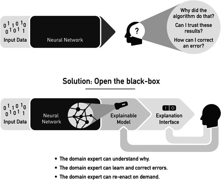 https://cdn.ncbi.nlm.nih.gov/pmc/blobs/4836/10240147/2a7c9e4c1e63/CJP2-9-251-g002.jpg