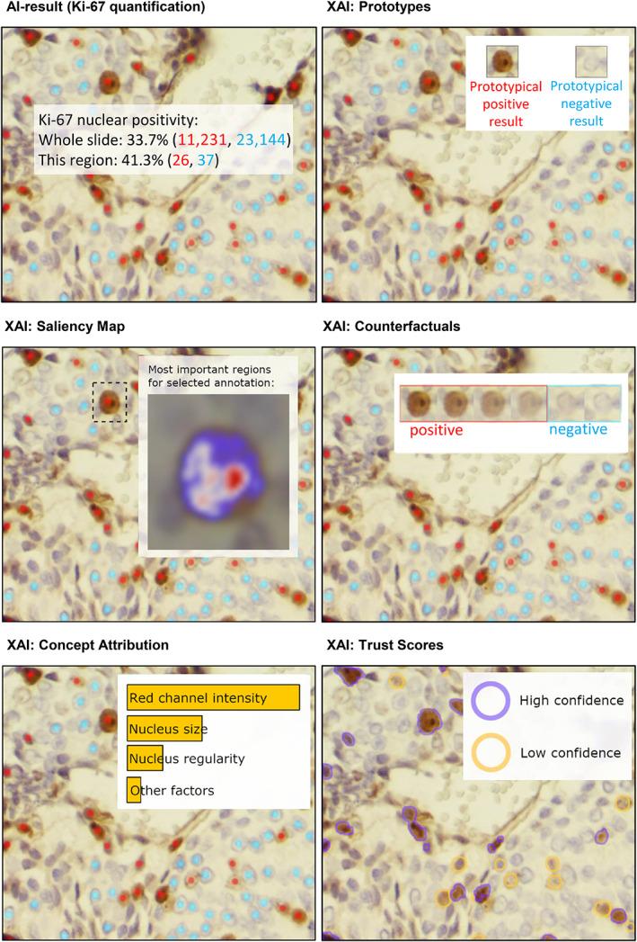 https://cdn.ncbi.nlm.nih.gov/pmc/blobs/4836/10240147/9554ec55347b/CJP2-9-251-g001.jpg