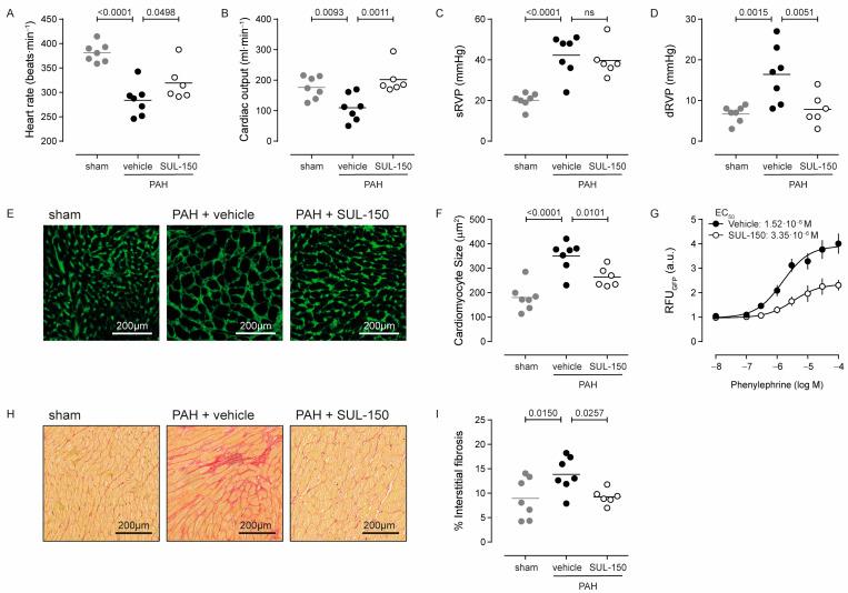 https://cdn.ncbi.nlm.nih.gov/pmc/blobs/4837/12346692/26d0351d4e66/ijms-26-07181-g004.jpg