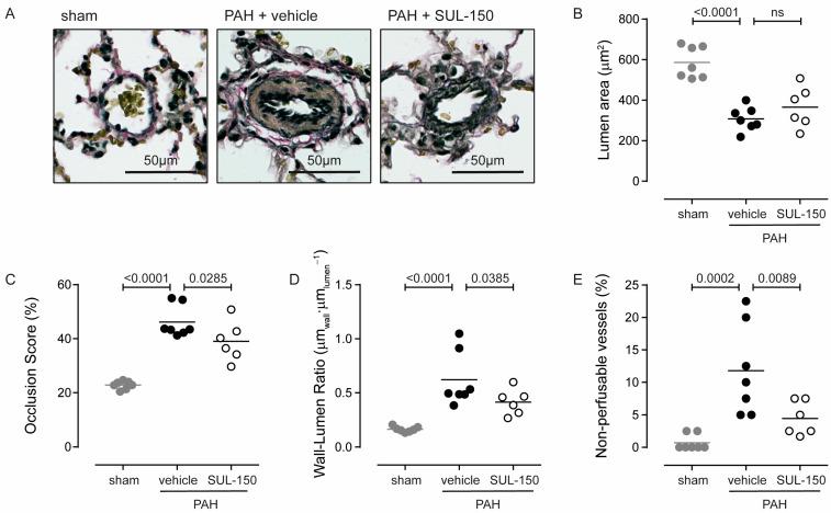 https://cdn.ncbi.nlm.nih.gov/pmc/blobs/4837/12346692/d3cbe3761abc/ijms-26-07181-g003.jpg