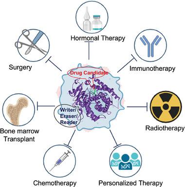 https://cdn.ncbi.nlm.nih.gov/pmc/blobs/4839/11775542/6176a4126635/ADVS-12-2403936-g001.jpg