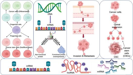 https://cdn.ncbi.nlm.nih.gov/pmc/blobs/4839/11775542/c81e40a2d811/ADVS-12-2403936-g002.jpg