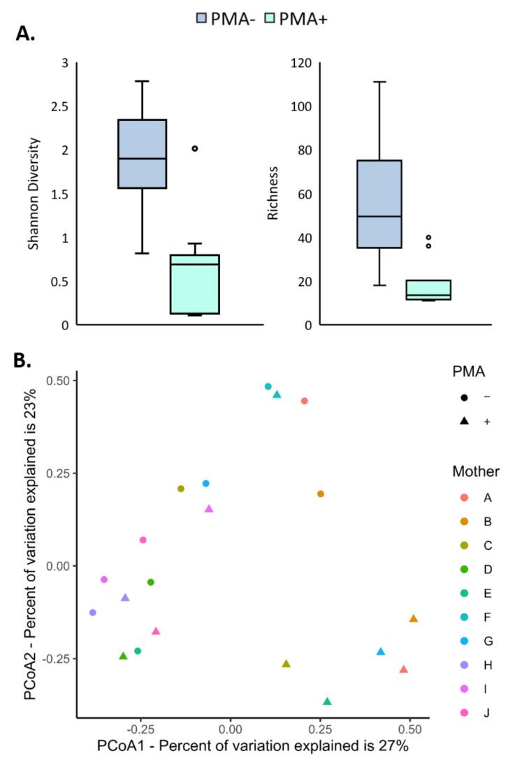 https://cdn.ncbi.nlm.nih.gov/pmc/blobs/4839/8708405/950c78585b33/nutrients-13-04445-g002.jpg