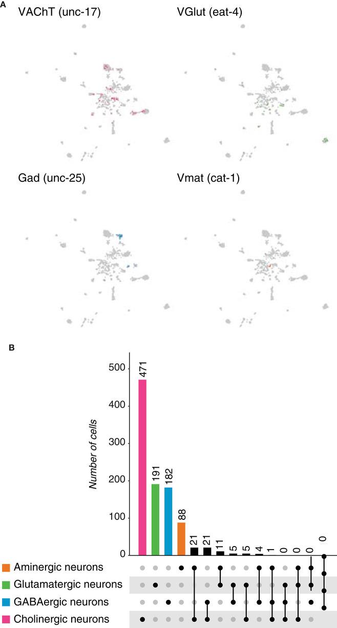 https://cdn.ncbi.nlm.nih.gov/pmc/blobs/483a/7883486/0715b2320c5e/fnmol-14-623148-g0004.jpg