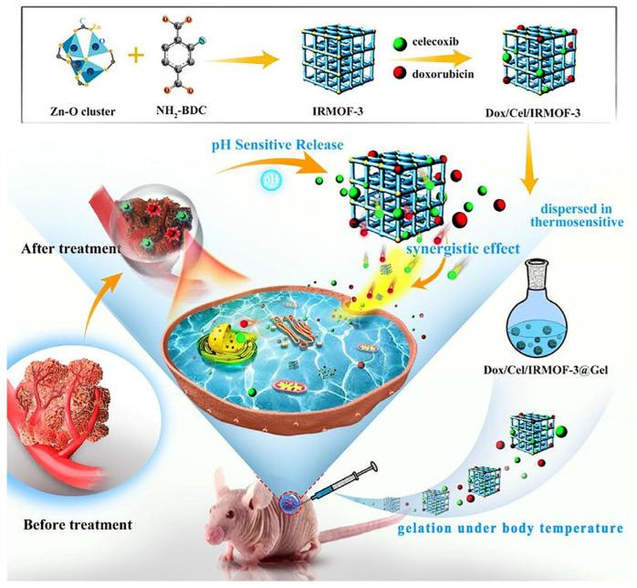 https://cdn.ncbi.nlm.nih.gov/pmc/blobs/483d/11764634/8641c93d1902/gels-11-00076-g007.jpg