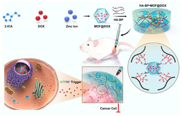 https://cdn.ncbi.nlm.nih.gov/pmc/blobs/483d/11764634/ad90e088b050/gels-11-00076-g006.jpg