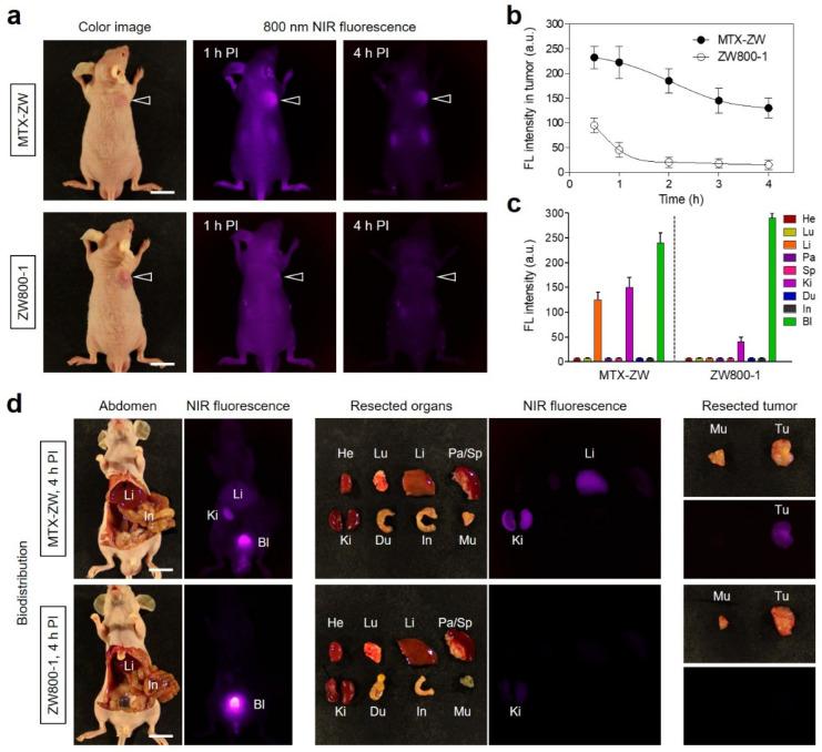 https://cdn.ncbi.nlm.nih.gov/pmc/blobs/483d/9697011/71c8b8f6ae95/ijms-23-14127-g004.jpg