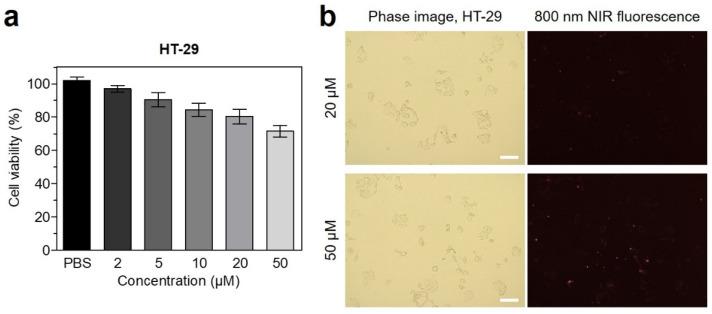 https://cdn.ncbi.nlm.nih.gov/pmc/blobs/483d/9697011/8e45a3cbd290/ijms-23-14127-g003.jpg