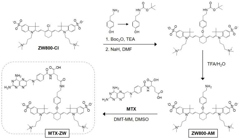 https://cdn.ncbi.nlm.nih.gov/pmc/blobs/483d/9697011/c1c38fce83e8/ijms-23-14127-g001.jpg