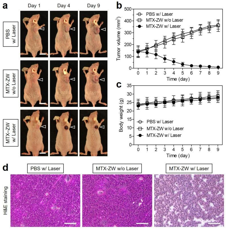 https://cdn.ncbi.nlm.nih.gov/pmc/blobs/483d/9697011/c1c8331ba231/ijms-23-14127-g007.jpg