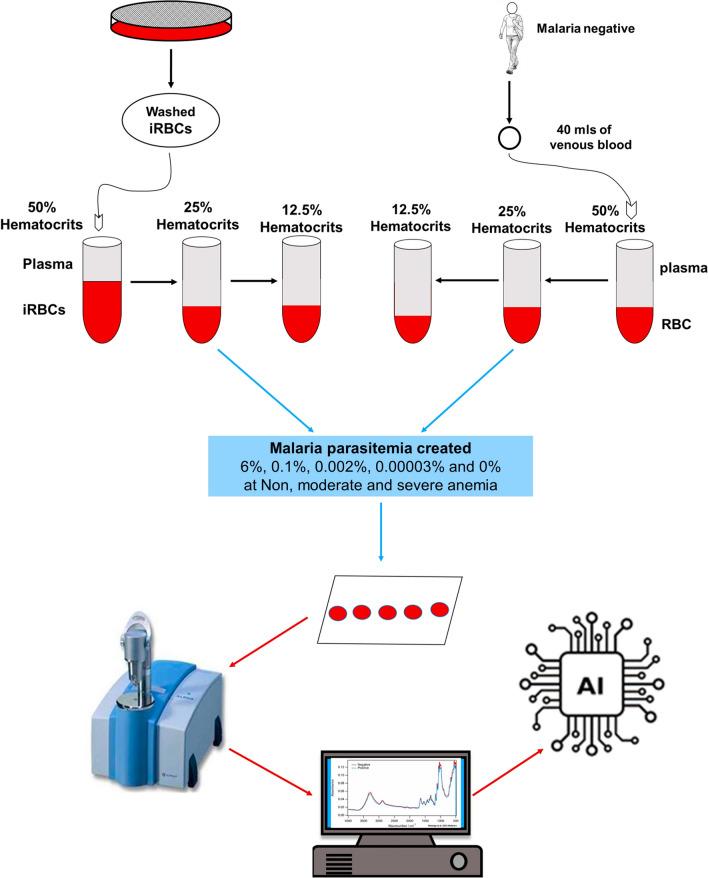 https://cdn.ncbi.nlm.nih.gov/pmc/blobs/4840/11181574/22ee9cf59a03/12936_2024_5011_Fig1_HTML.jpg