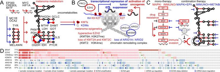 https://cdn.ncbi.nlm.nih.gov/pmc/blobs/4840/5385204/140a9a20f5f3/10555_2017_9662_Fig4_HTML.jpg