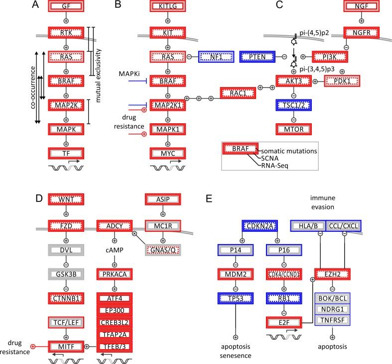 https://cdn.ncbi.nlm.nih.gov/pmc/blobs/4840/5385204/c4ec1f8d9e37/10555_2017_9662_Fig6_HTML.jpg