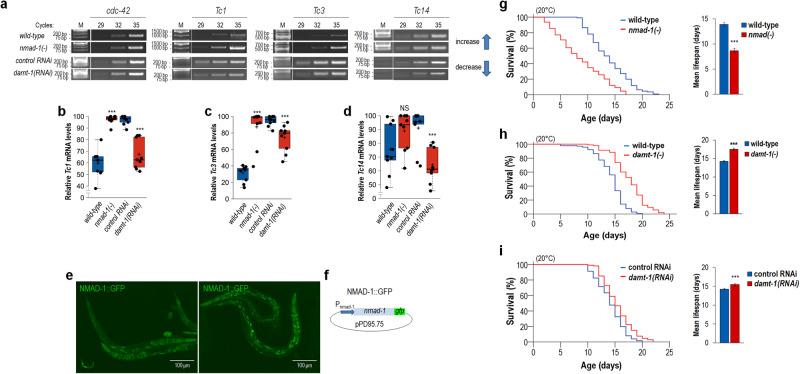 https://cdn.ncbi.nlm.nih.gov/pmc/blobs/4841/10465613/10391f584dc1/41467_2023_40957_Fig5_HTML.jpg
