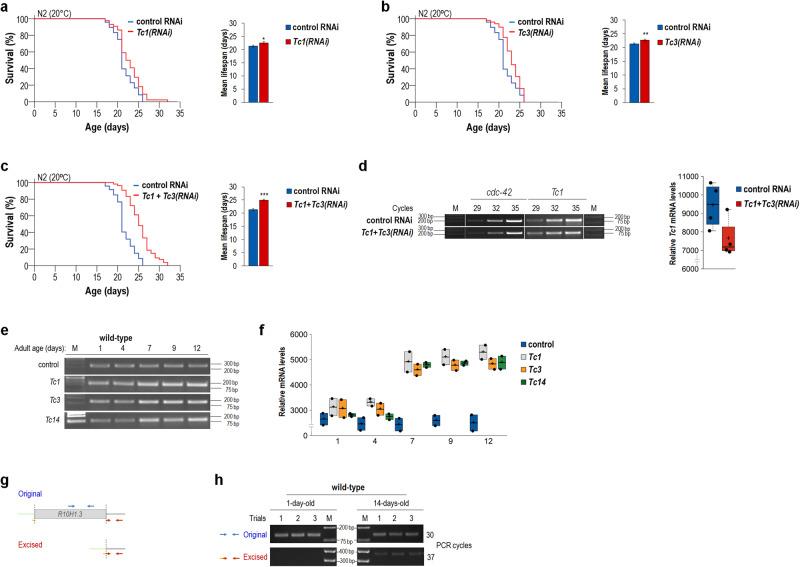https://cdn.ncbi.nlm.nih.gov/pmc/blobs/4841/10465613/46d0a304700b/41467_2023_40957_Fig2_HTML.jpg